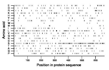 amino acid map