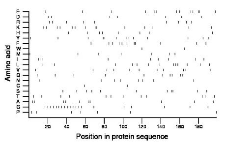 amino acid map