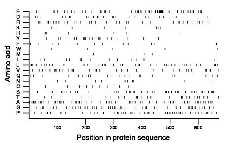 amino acid map