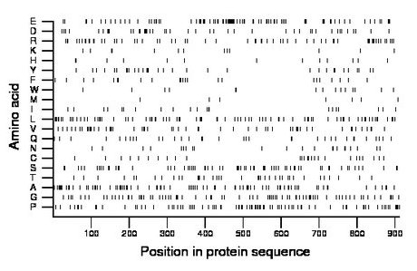 amino acid map