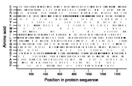 amino acid map