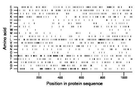 amino acid map