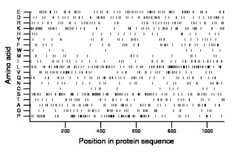 amino acid map