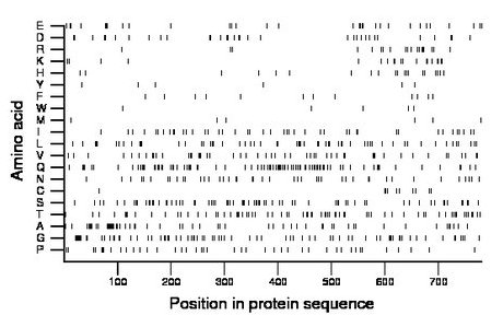 amino acid map