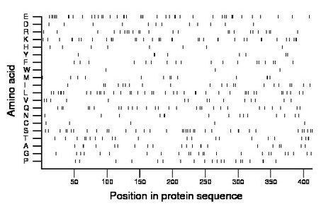 amino acid map