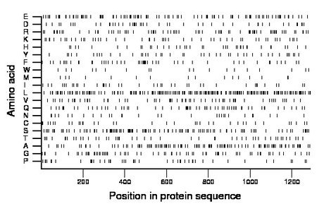 amino acid map