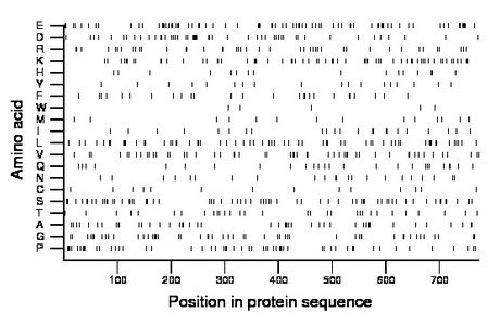 amino acid map