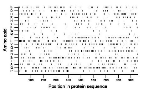 amino acid map