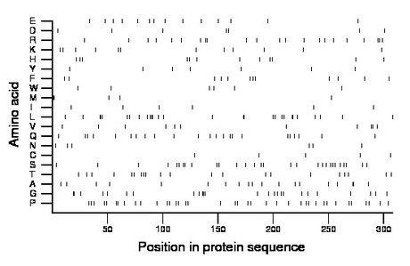 amino acid map