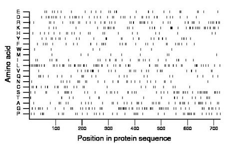 amino acid map