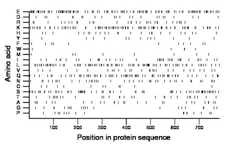 amino acid map