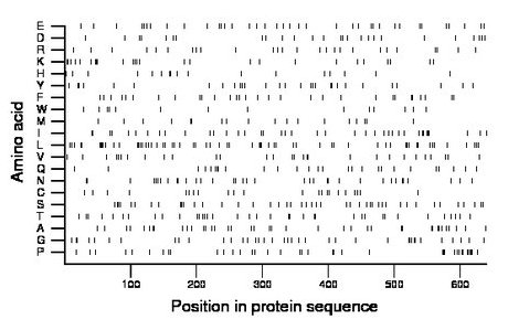 amino acid map