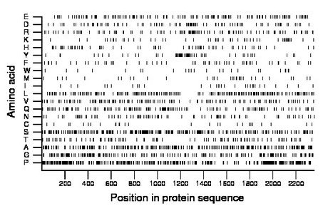 amino acid map