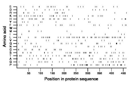 amino acid map