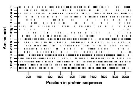 amino acid map