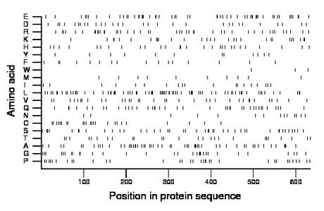 amino acid map