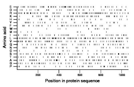 amino acid map