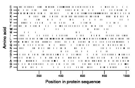 amino acid map