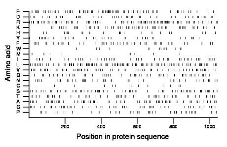 amino acid map