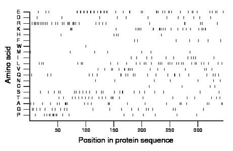 amino acid map