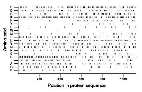 amino acid map