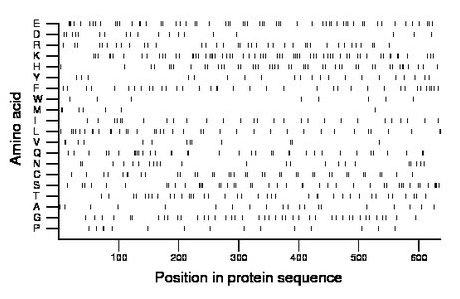 amino acid map