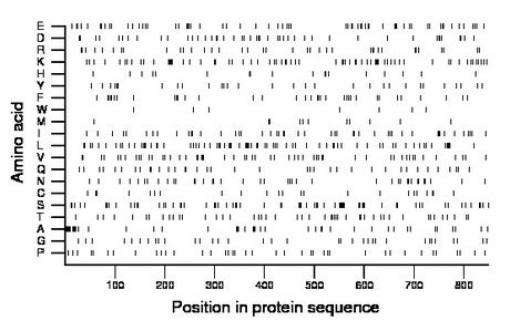 amino acid map