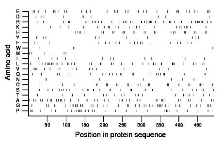 amino acid map