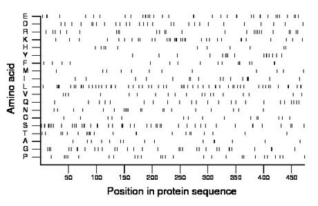 amino acid map