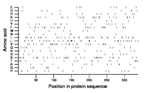 amino acid map