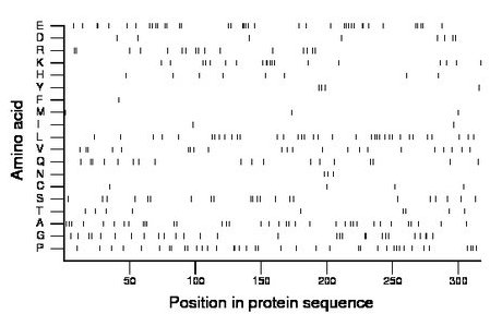 amino acid map