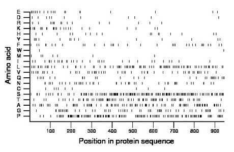 amino acid map