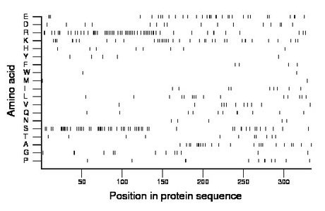 amino acid map