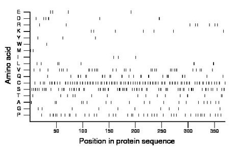 amino acid map