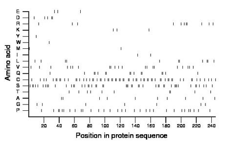 amino acid map