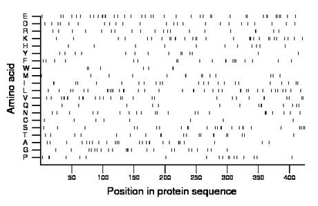 amino acid map