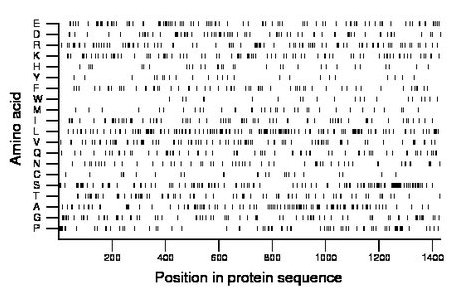 amino acid map