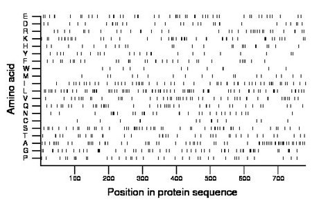 amino acid map