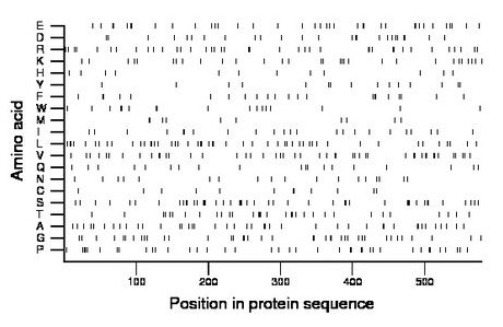 amino acid map