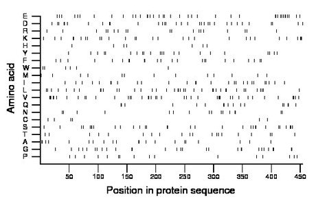 amino acid map