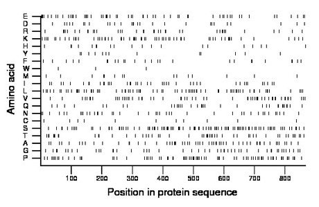 amino acid map