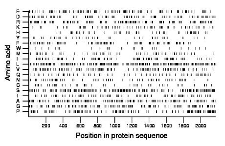 amino acid map