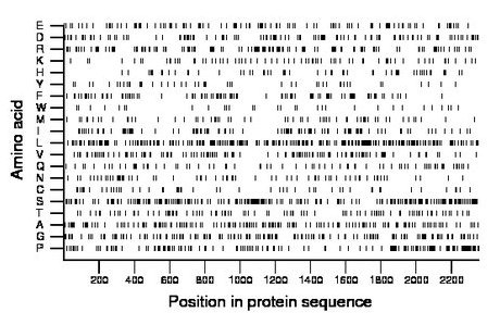 amino acid map