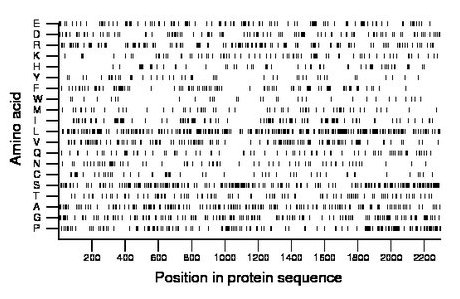 amino acid map