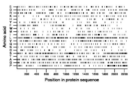 amino acid map