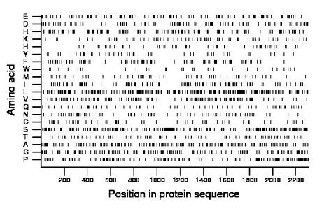 amino acid map