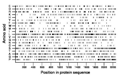 amino acid map