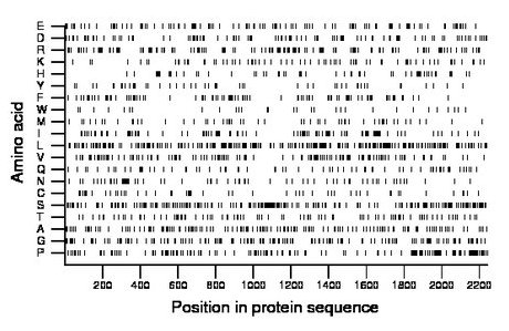 amino acid map