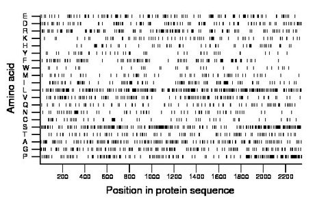 amino acid map