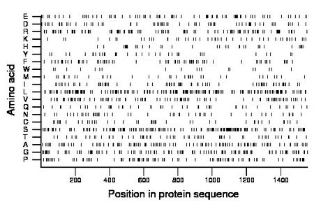 amino acid map